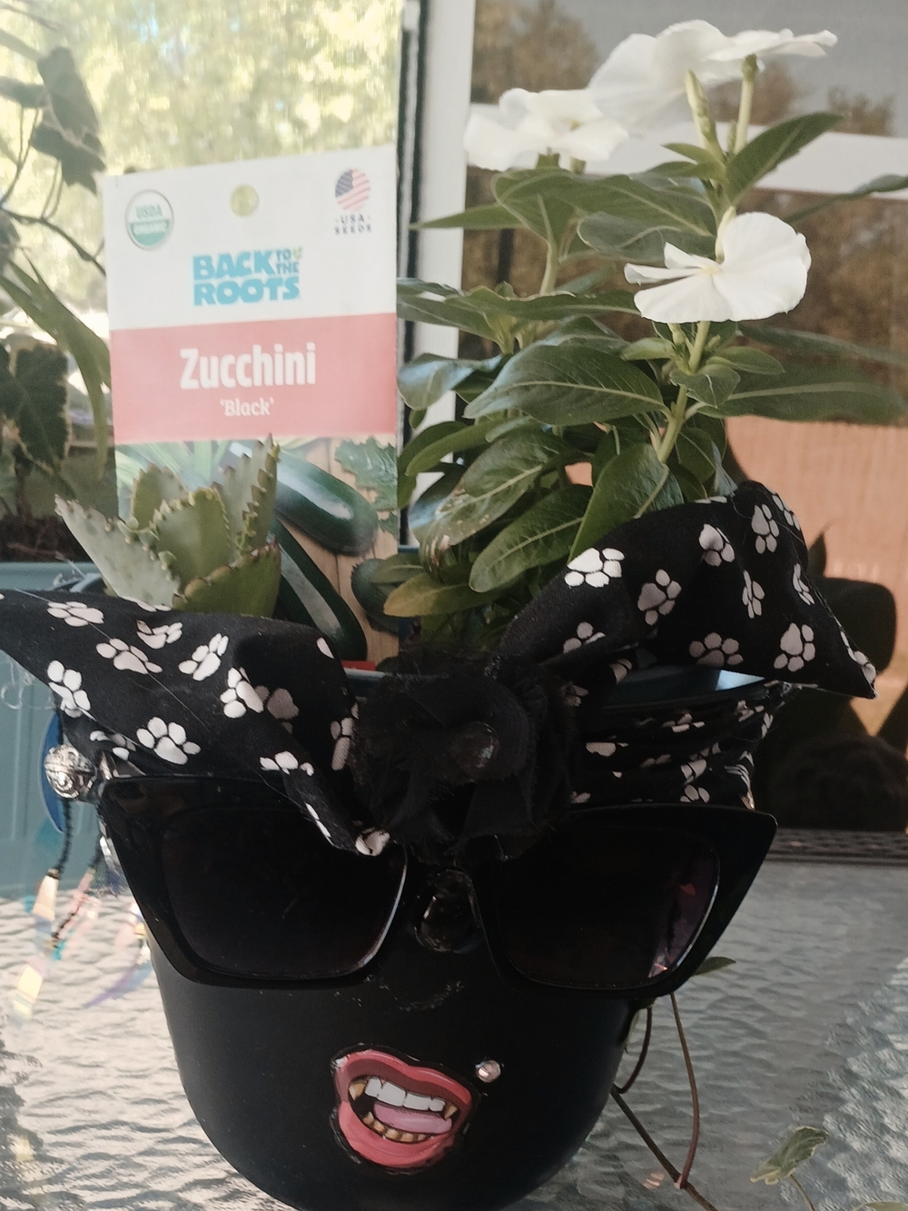 Miss Potty Head Planter Black Sunglasses Planter with Paw-Print Headscarf